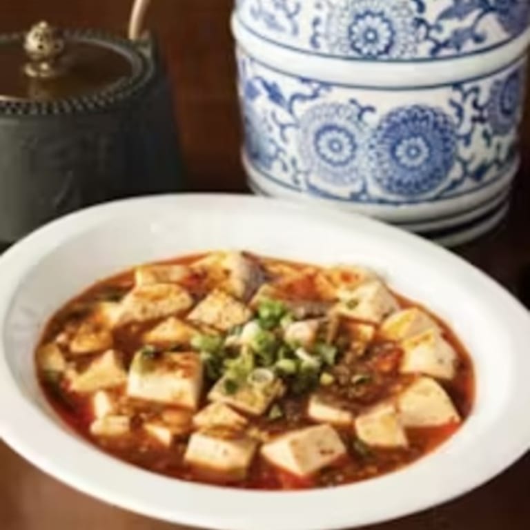 Delicious Mapo Tofu Experience